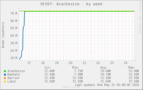 VE597: dcachesize